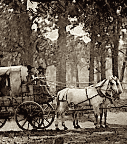 Celerity wagon