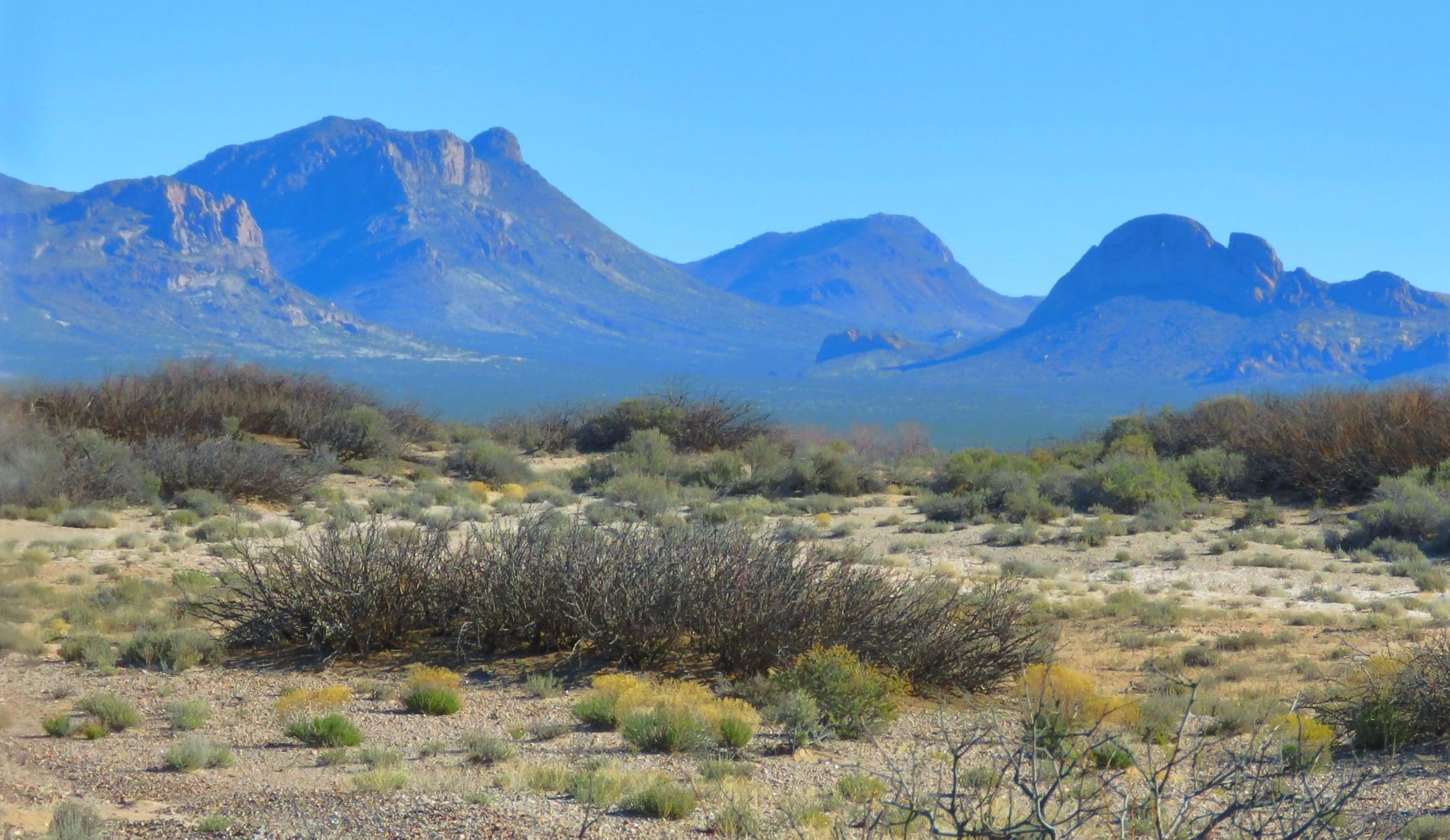 The trail to Doubtful Canyon from San Simon